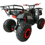 atv1-2.webp